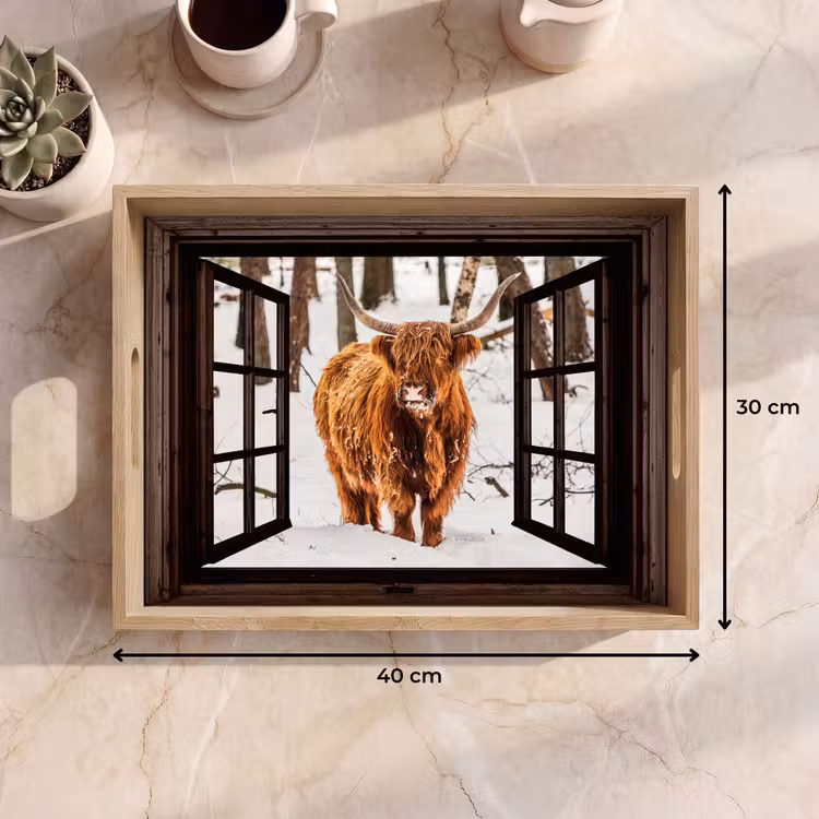 Dienblad - Schotse Hooglander - Sneeuw - Natuur - Dieren - Doorkijk - Winter — 9