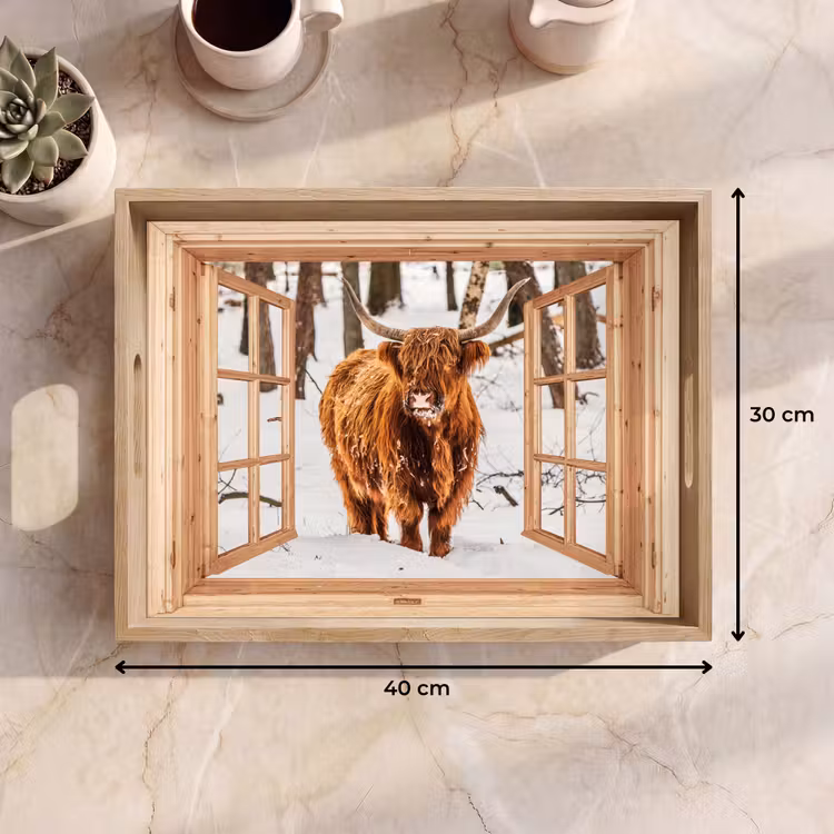 Dienblad - Schotse Hooglander - Winter - Landschap - Natuur - Dieren - Doorkijk — 9