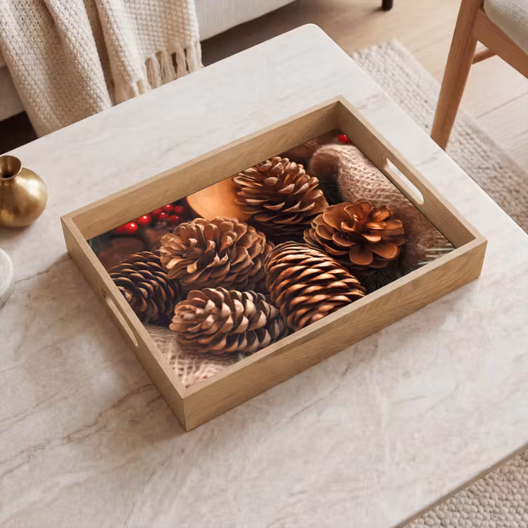 Dienblad - Dennenappels - Boom - Winter - Natuur - Bruin — 2