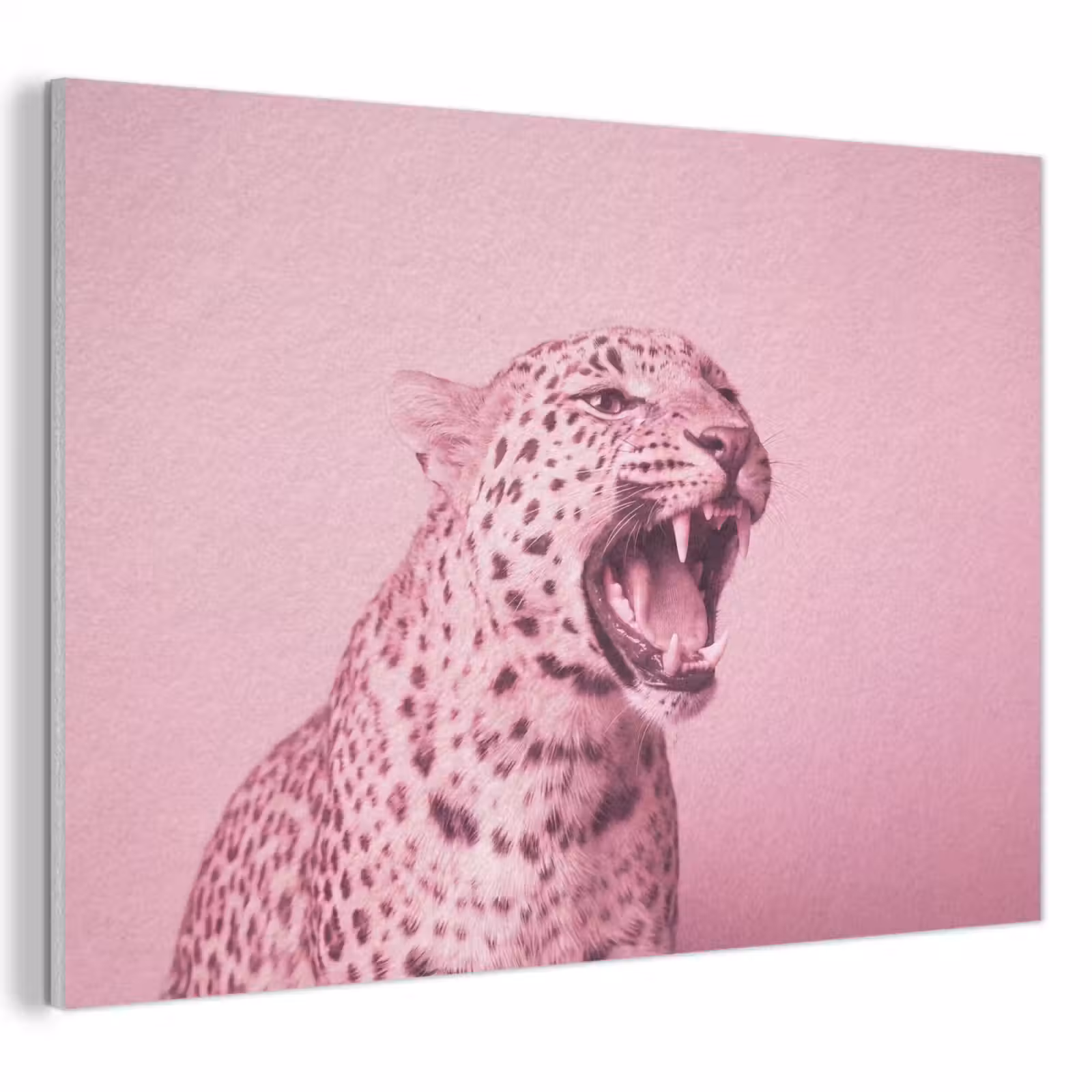 Akoestisch schilderij - Roze kat - Modern — 1