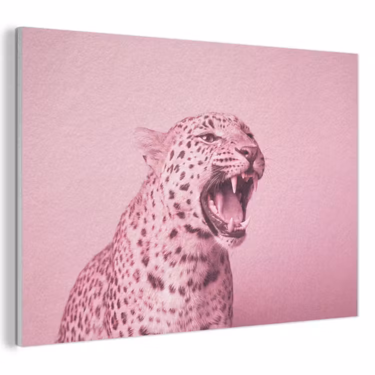 Akoestisch schilderij - Roze kat - Modern — 1