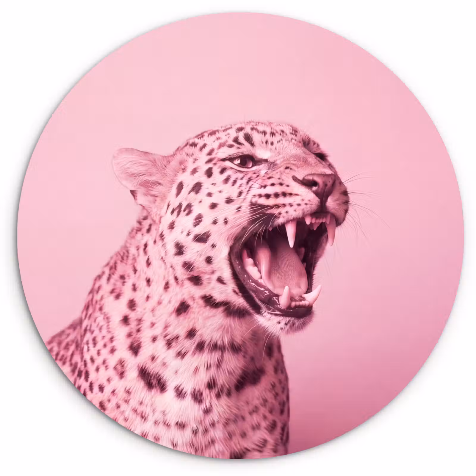 Muurcirkel glas - Roze kat - Modern — 1