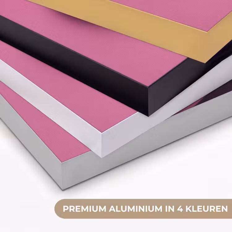 Art frame - Platenspeler - Roze - Muziek — 2