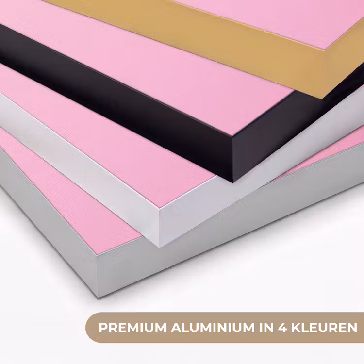 Art frame - Spiegelbal - Zilver - Modern — 2