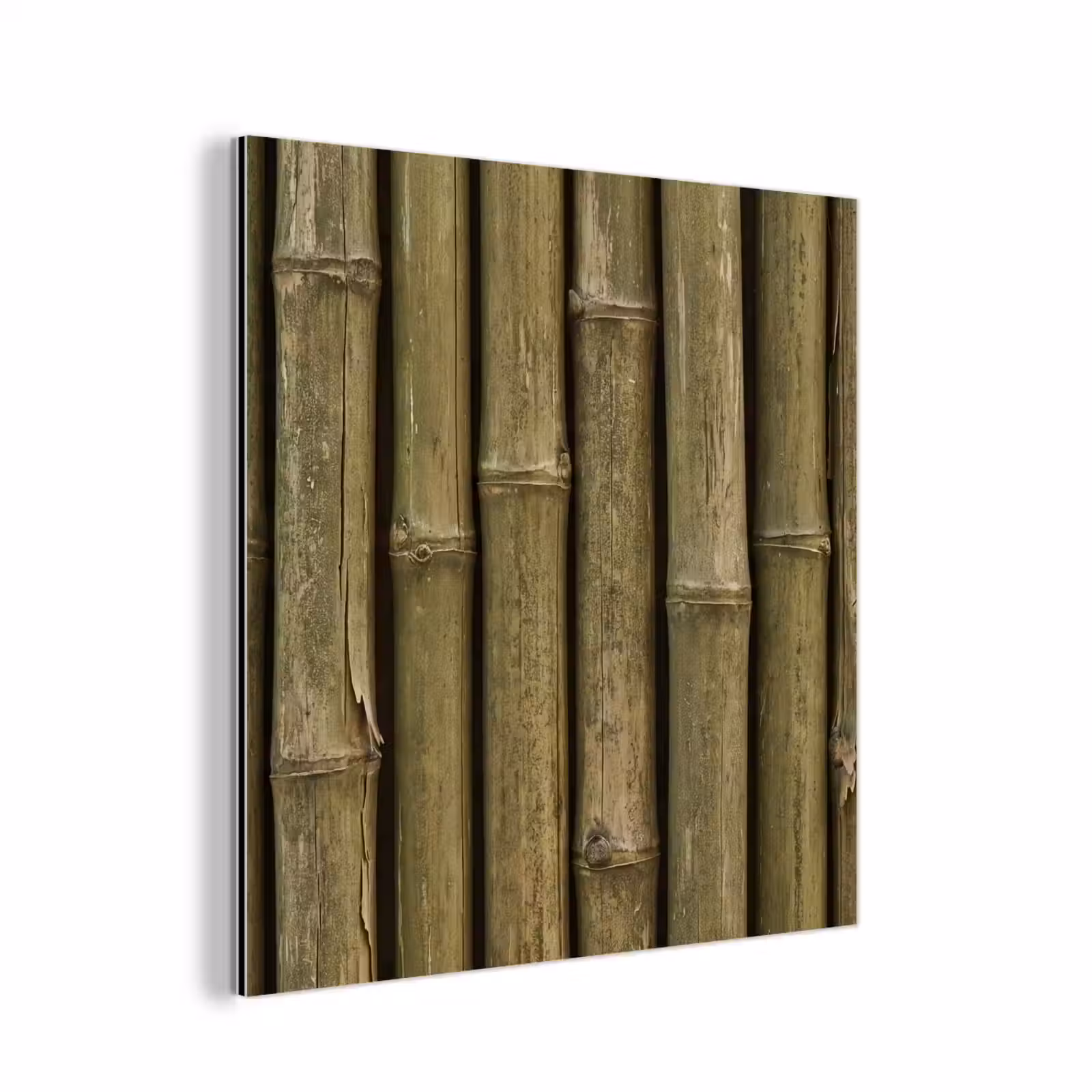 Aluminium schilderij - Bamboe - Stengels - Natuur — 1