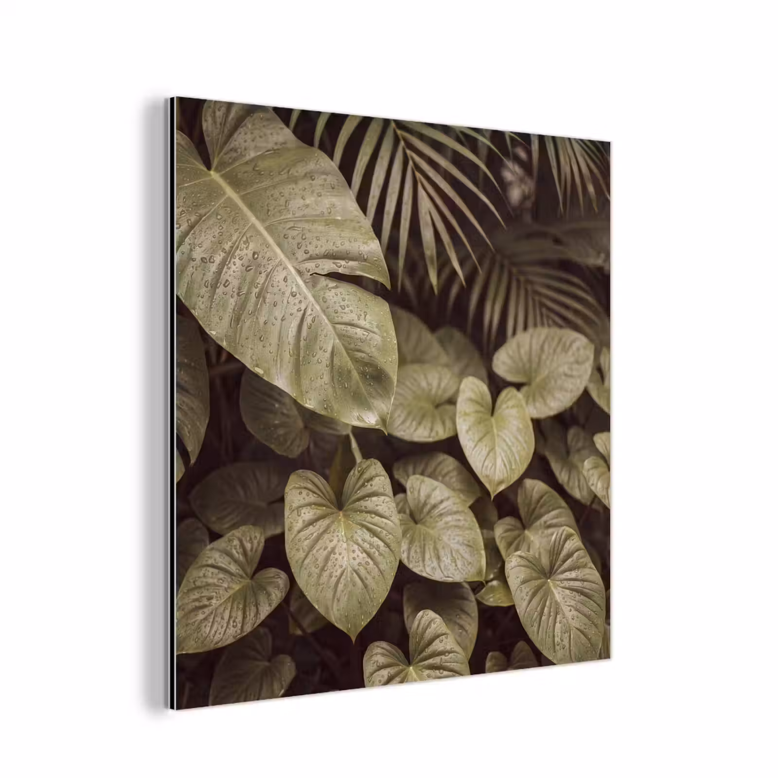 Aluminium schilderij - Groene bladeren - Natuur — 1