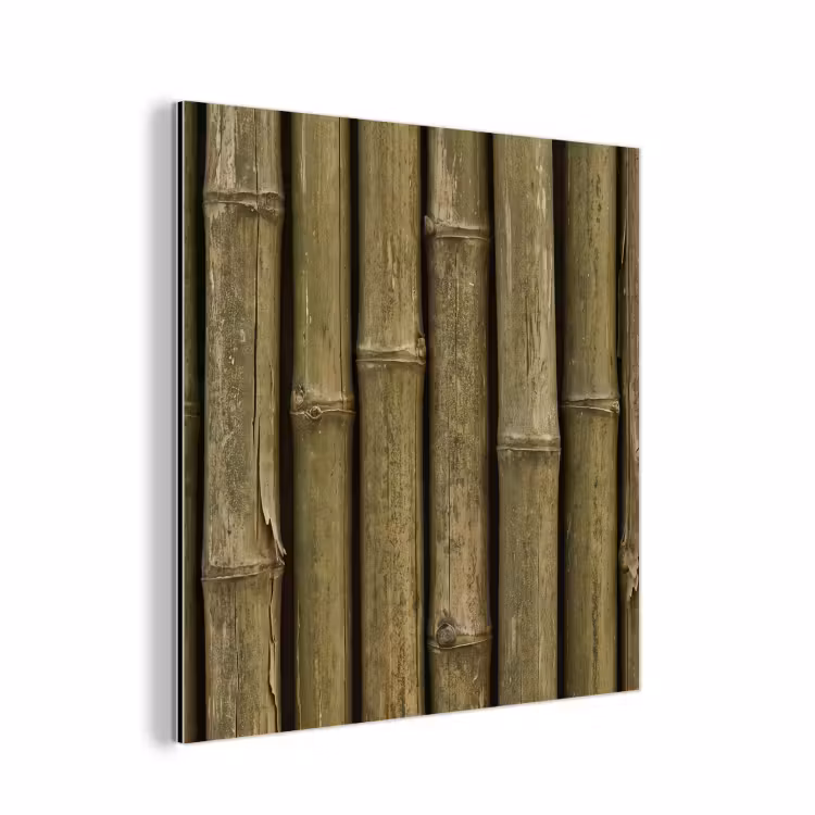Aluminium schilderij - Bamboe - Stengels - Natuur — 1