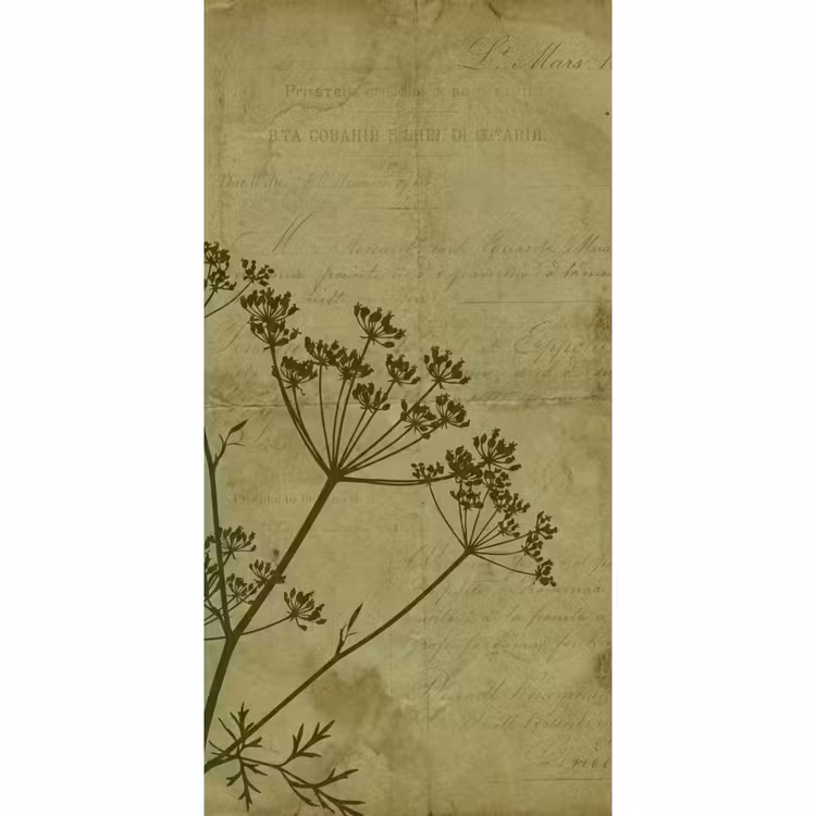 Behang - Bloemen - Schrift - Groen — 2