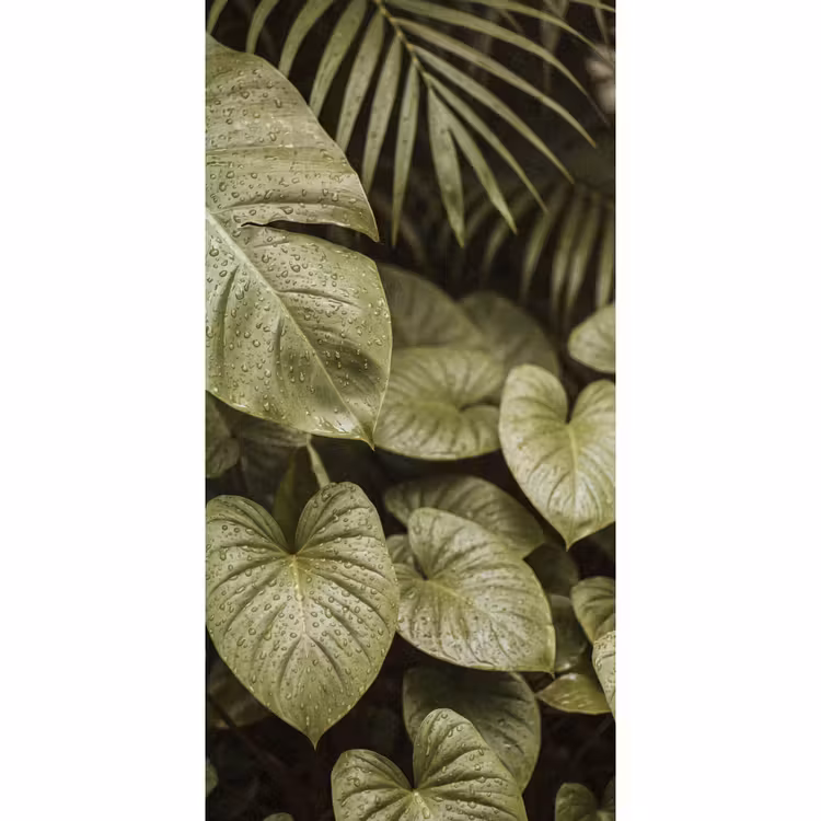 Behang - Groene bladeren - Natuur — 2