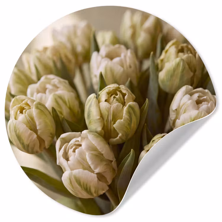 Behangcirkel - Bloemen - Groen - Natuur — 1