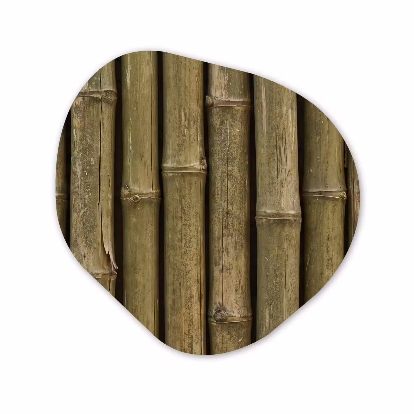 Organisch schilderij glas - Bamboe - Stengels - Natuur — 1