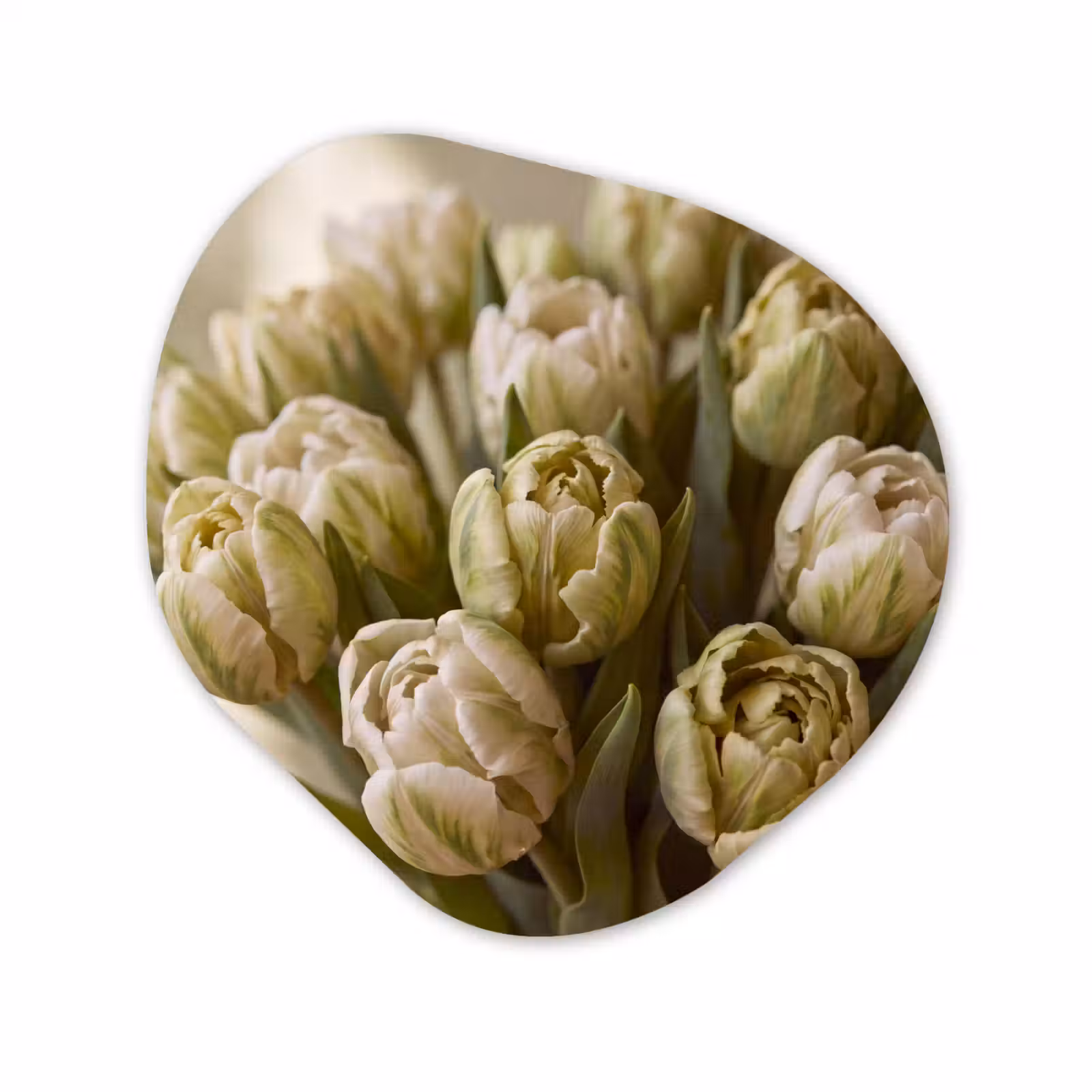 Organisch schilderij glas - Bloemen - Groen - Natuur — 1