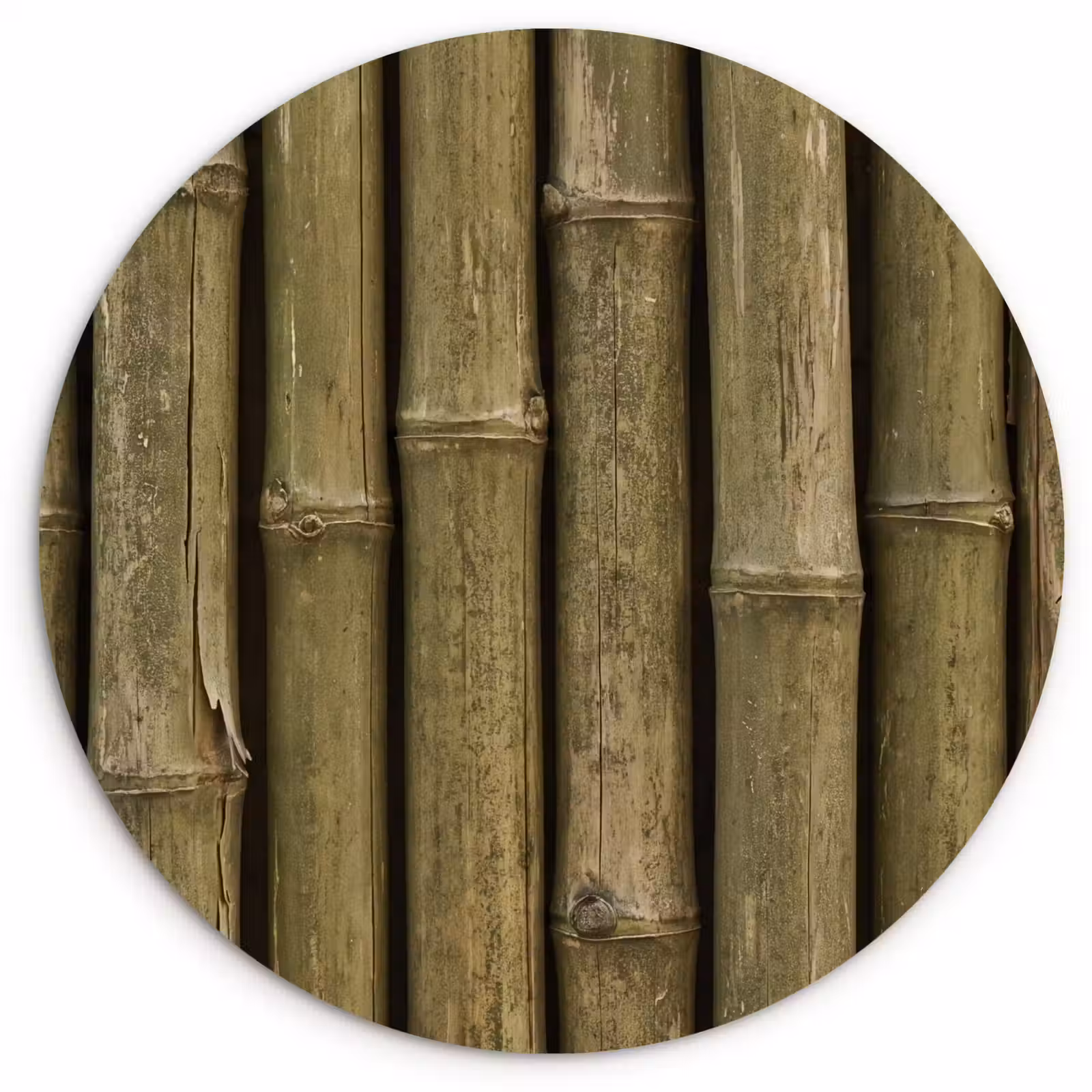 Muurcirkel - Bamboe - Stengels - Natuur — 1