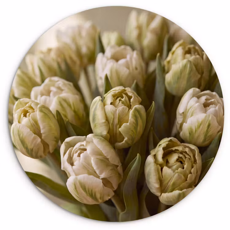 Muurcirkel - Bloemen - Groen - Natuur — 1