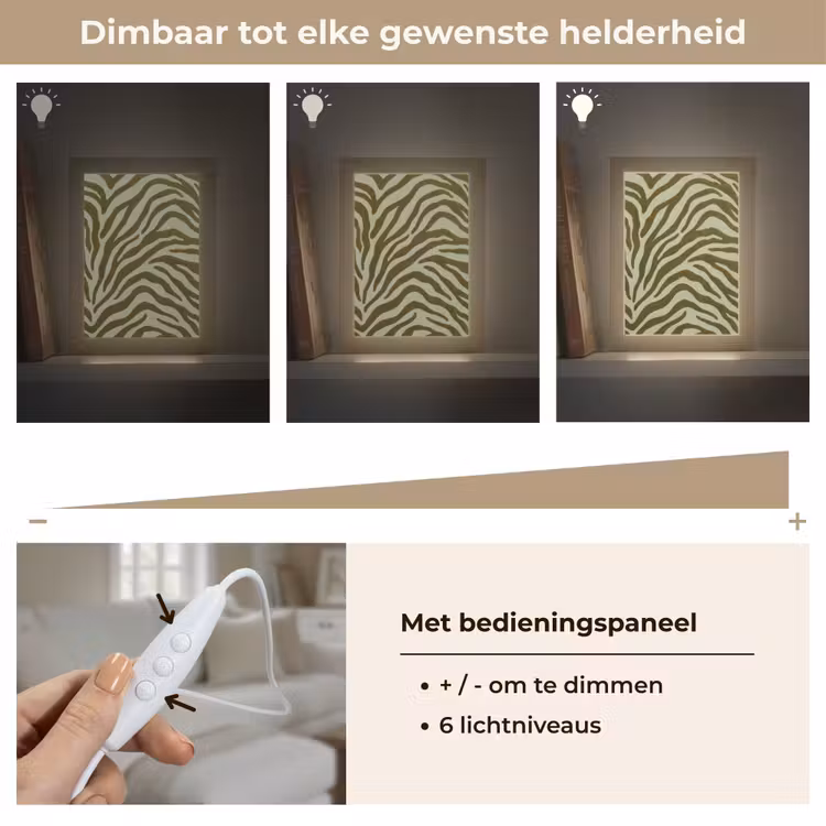 Gepersonaliseerd Lightbox - Zebramotief - Groen - Modern — 8