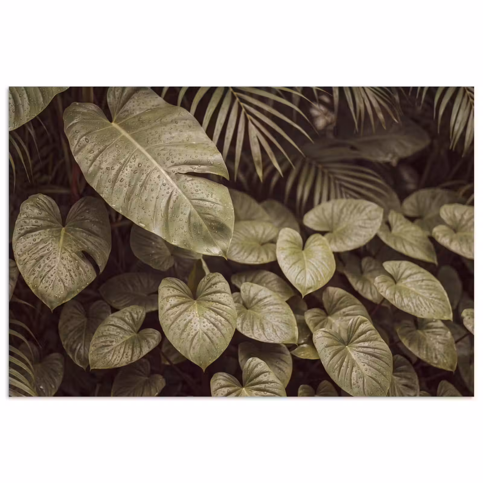 Poster - Groene bladeren - Natuur — 1