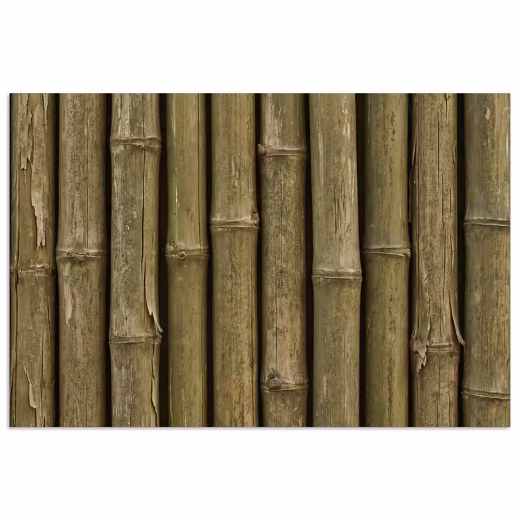 Poster - Bamboe - Stengels - Natuur — 1