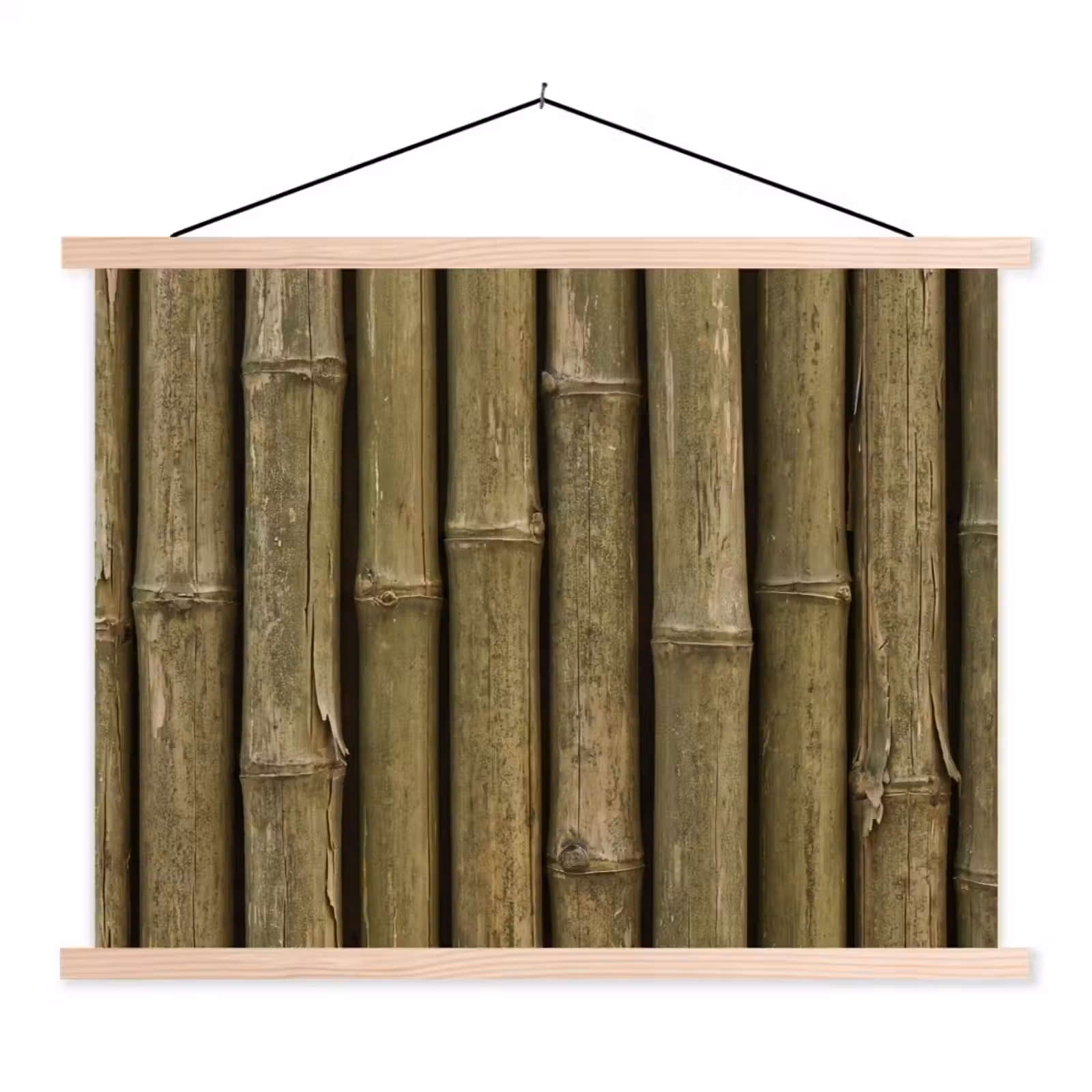 Schoolplaat - Bamboe - Stengels - Natuur — 1
