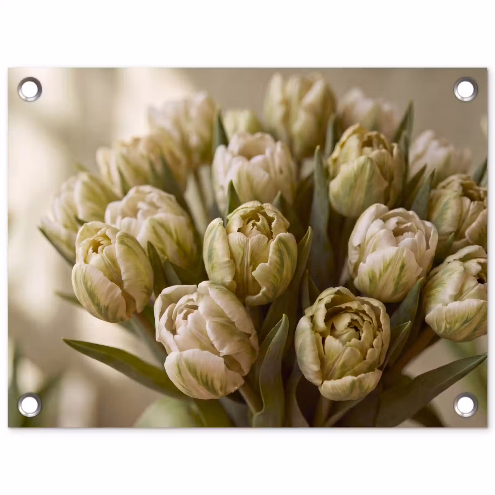 Tuinposter - Bloemen - Groen - Natuur — 1