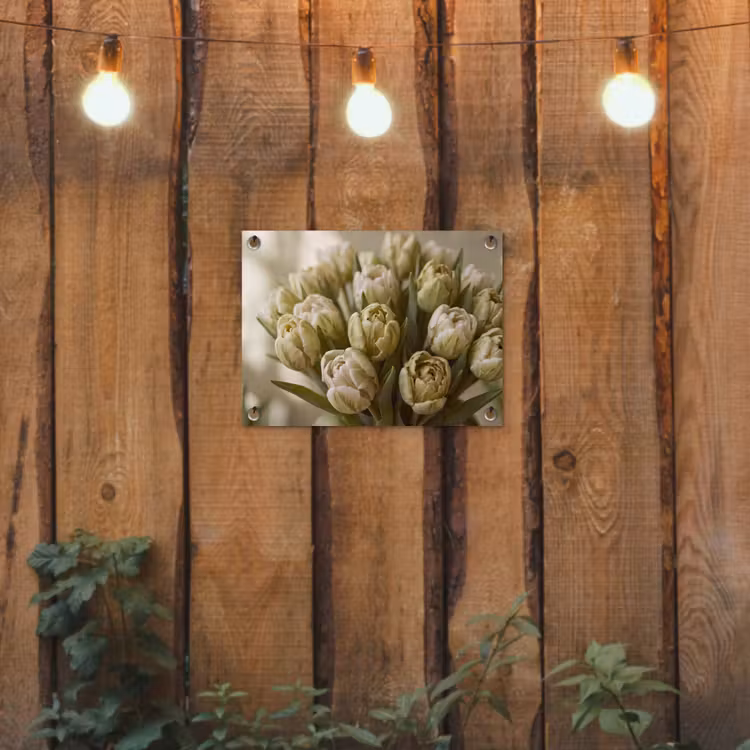 Tuinposter - Bloemen - Groen - Natuur — 2