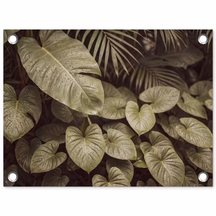Tuinposter - Groene bladeren - Natuur — 1