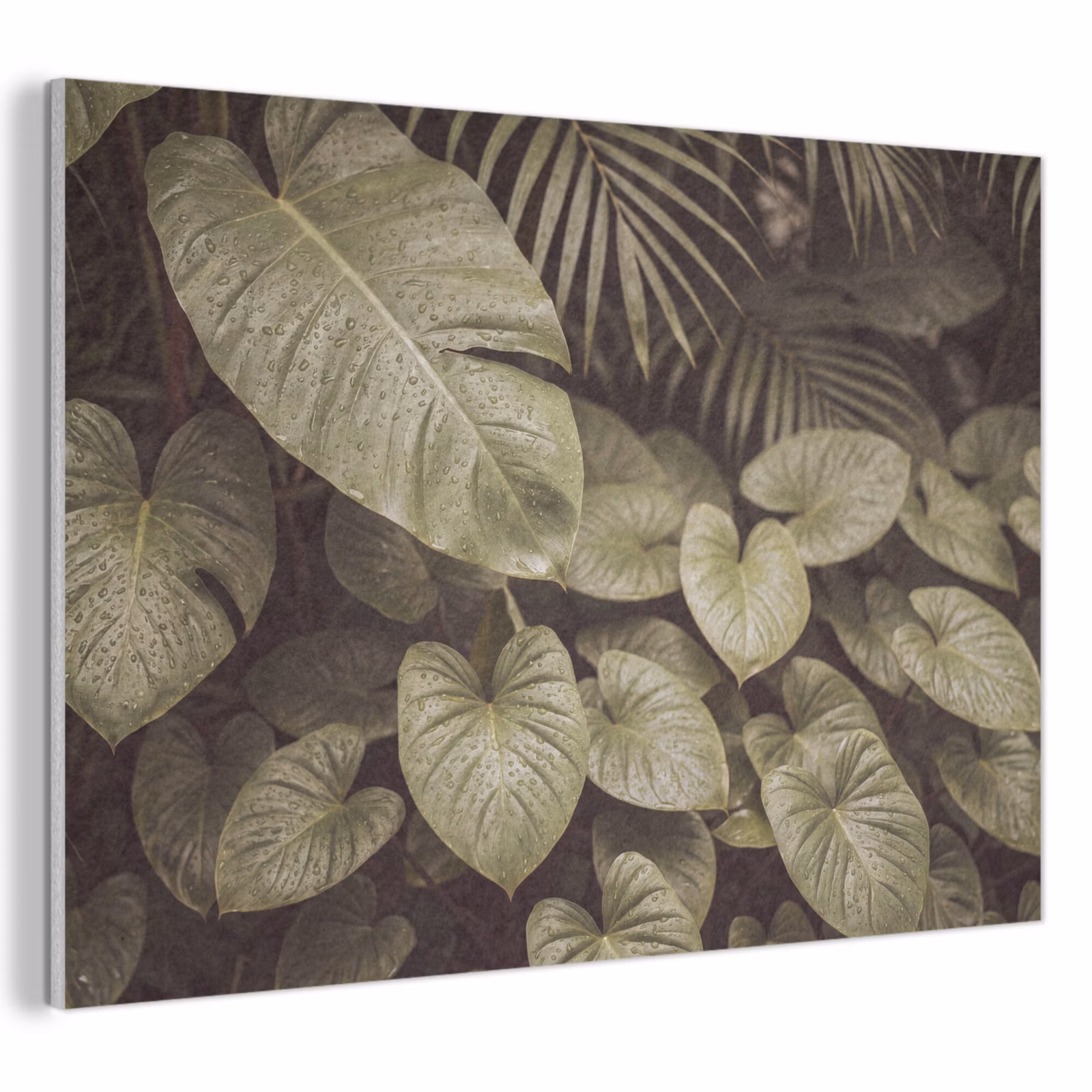 Akoestisch schilderij - Groene bladeren - Natuur — 1