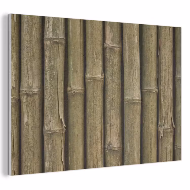 Akoestisch schilderij - Bamboe - Stengels - Natuur — 1