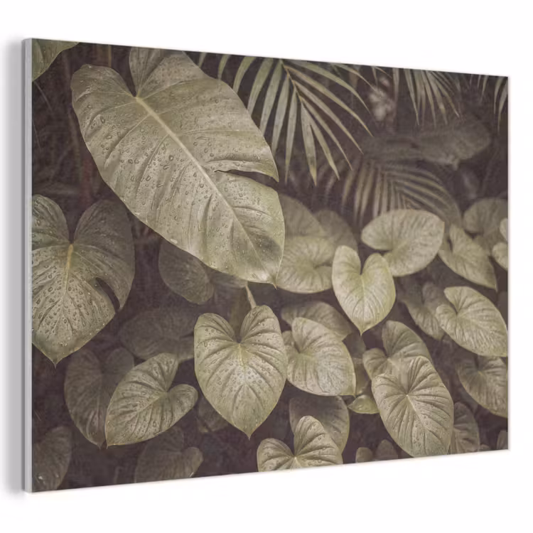Akoestisch schilderij - Groene bladeren - Natuur — 1