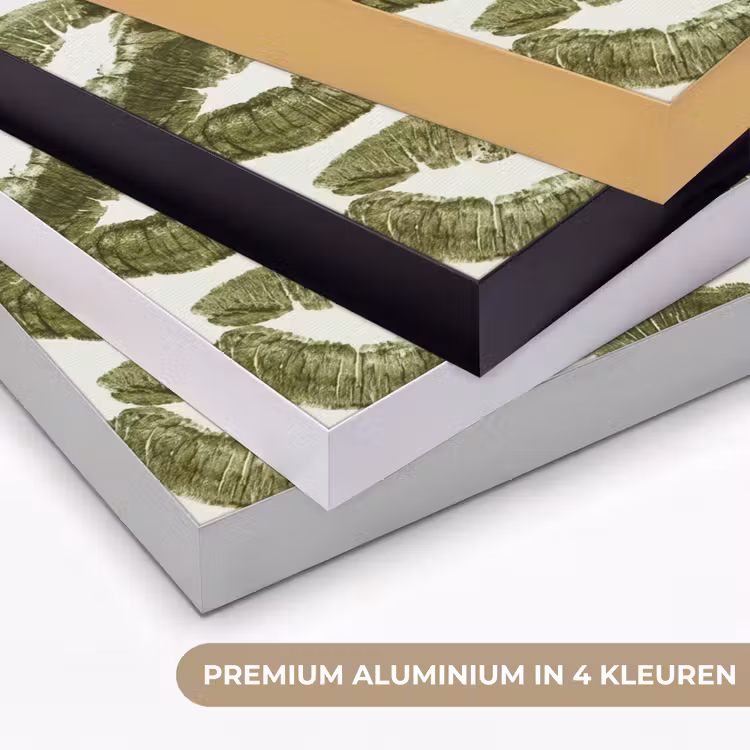 Art frame - Kus - Patroon - Groen — 2