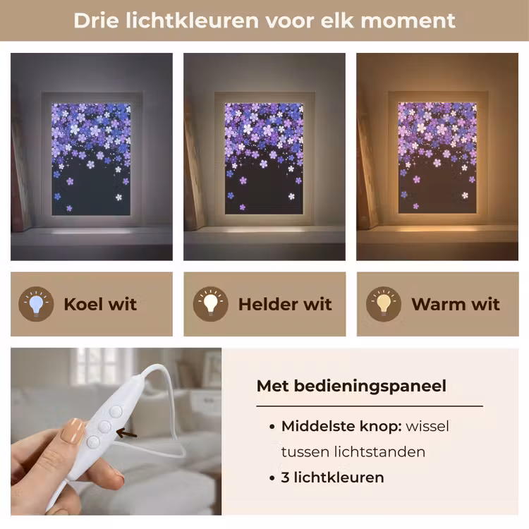 Gepersonaliseerd Lightbox - Bloemen - Paars - Modern — 6