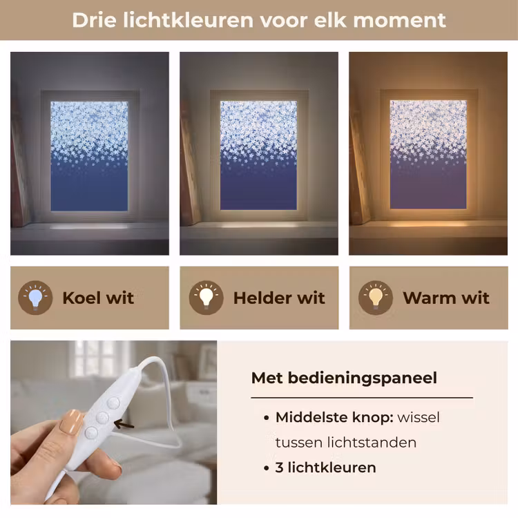 Gepersonaliseerd Lightbox - Bloemen - Vallend - Decoratief — 6