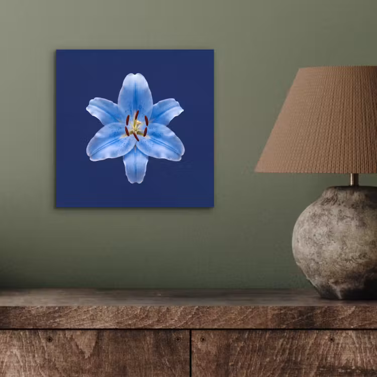 Aluminium schilderij - Blauwe lelie - Bloemen — 3