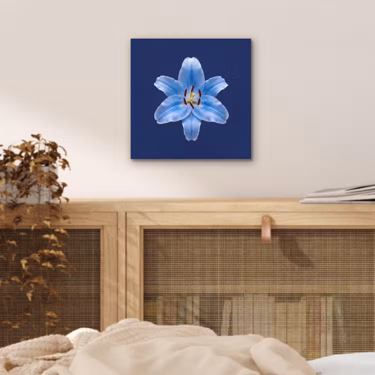 Aluminium schilderij - Blauwe lelie - Bloemen — 4