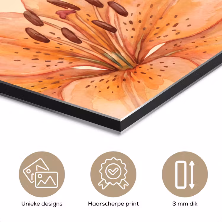 Aluminium schilderij - Bloemen - Aquarel - Natuur — 7
