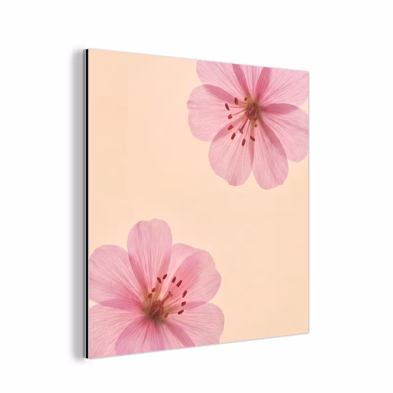 Aluminium schilderij - Bloemen - Flora - Pastel — 1