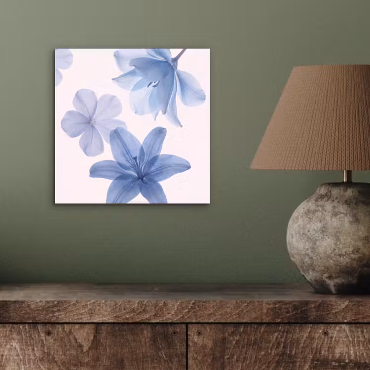 Aluminium schilderij - Bloemen - Transparant - Modern — 3