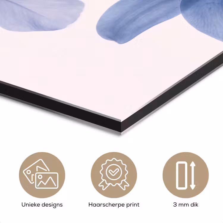 Aluminium schilderij - Bloemen - Transparant - Modern — 7