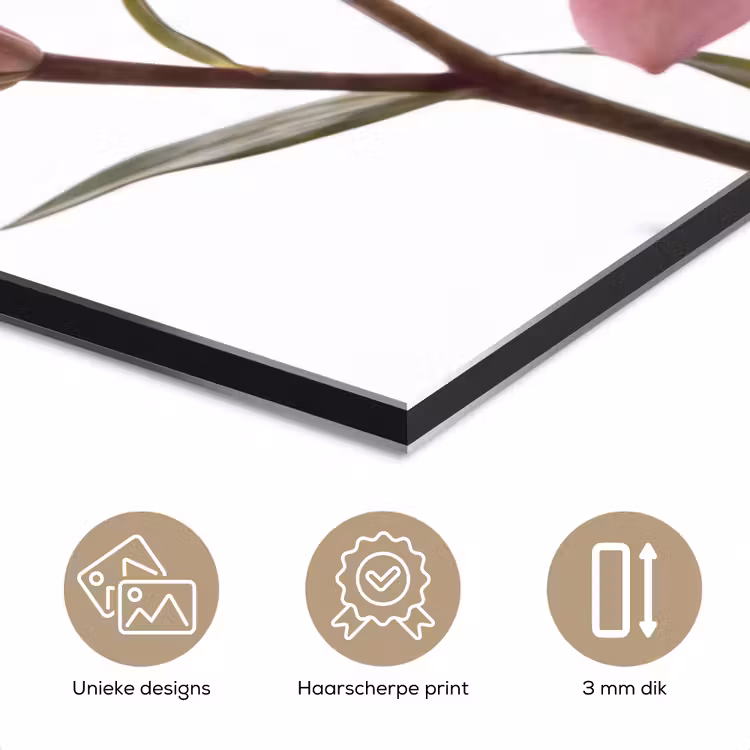 Aluminium schilderij - Bloemen - Zacht - Modern — 7