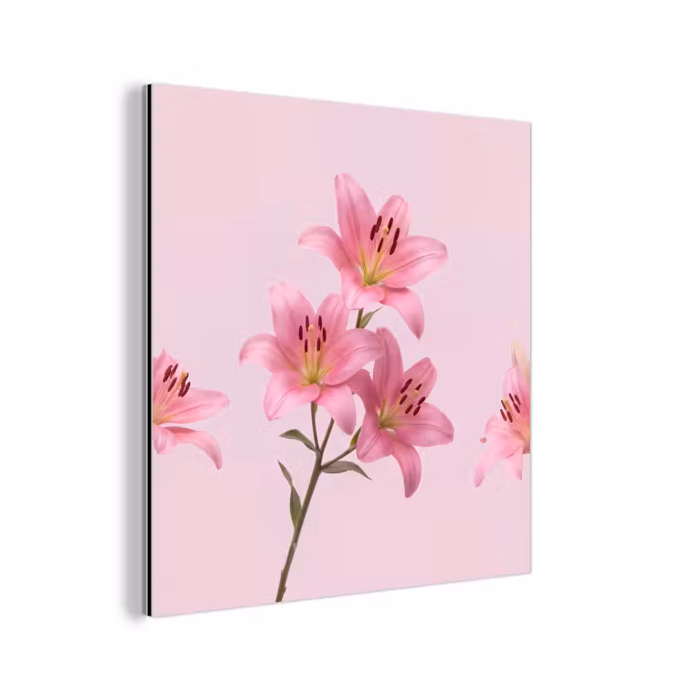 Aluminium schilderij - Bloemen - Zacht - Roze — 1