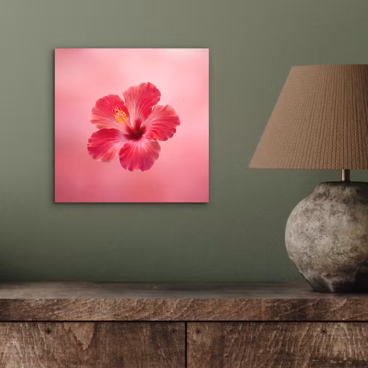 Aluminium schilderij - Rode bloem - Natuur — 3