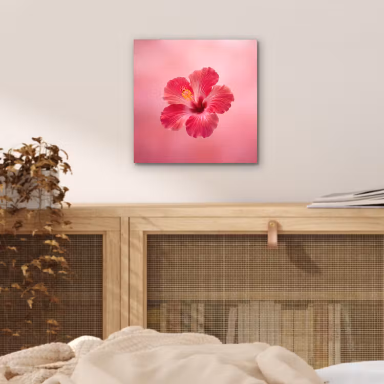 Aluminium schilderij - Rode bloem - Natuur — 4