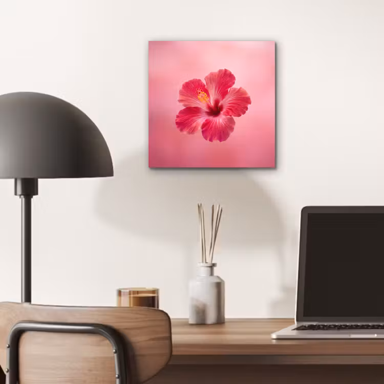 Aluminium schilderij - Rode bloem - Natuur — 6