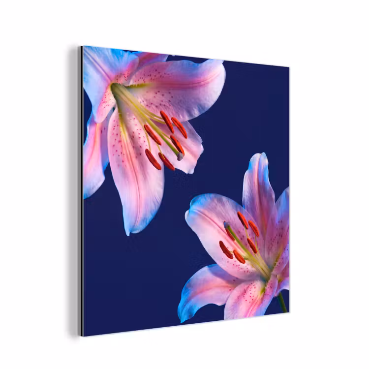 Aluminium schilderij - Bloemen - Kleurrijk - Botanisch — 1