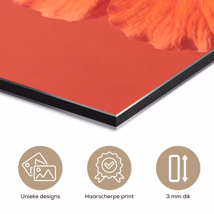 Aluminium schilderij - Bloemen - Oranje - Natuur — 7