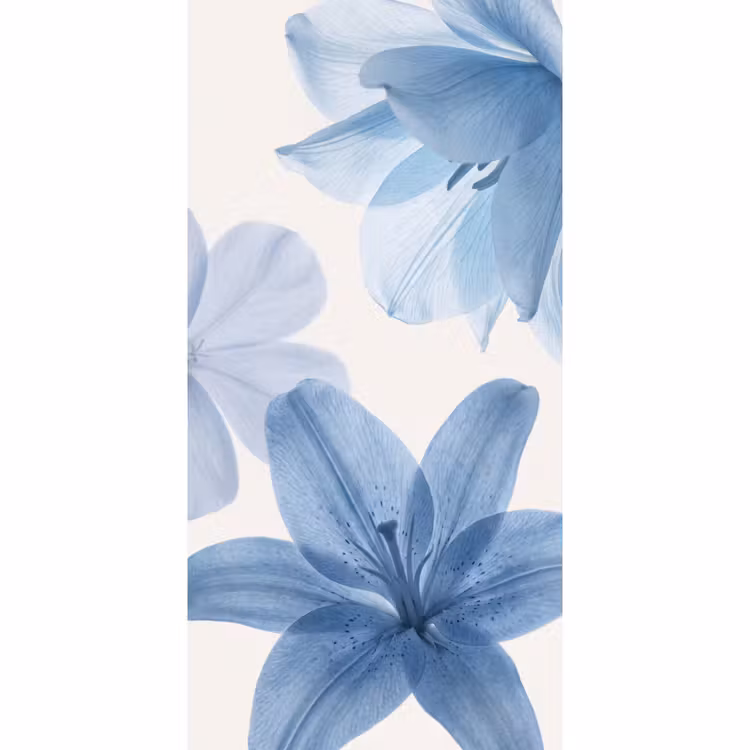 Behang - Bloemen - Transparant - Modern — 2