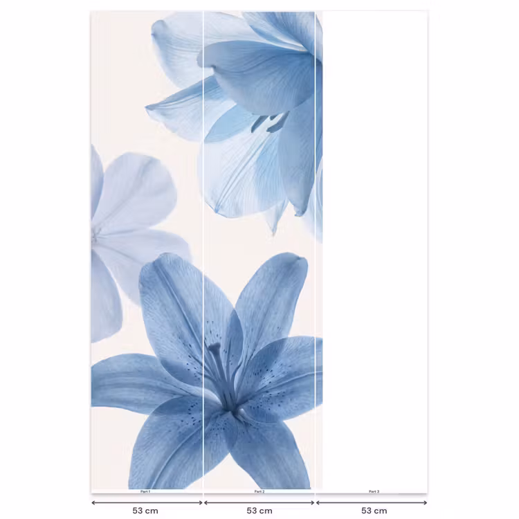 Behang - Bloemen - Transparant - Modern — 6