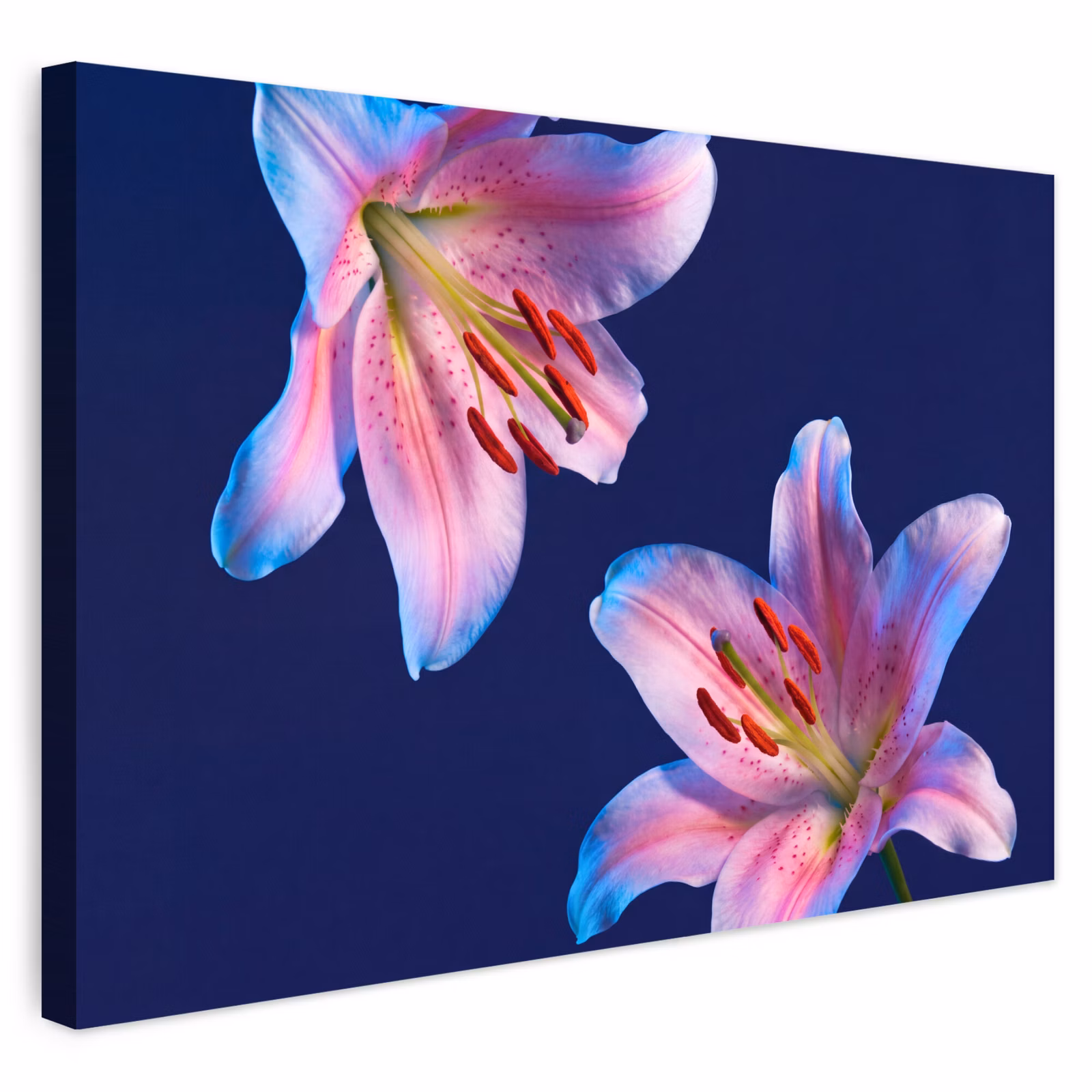 Buiten canvas - Bloemen - Kleurrijk - Botanisch — 1