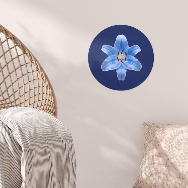 Behangcirkel - Blauwe lelie - Bloemen — 5