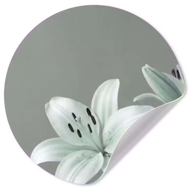 Behangcirkel - Bloemen - Natuur - Groen — 1