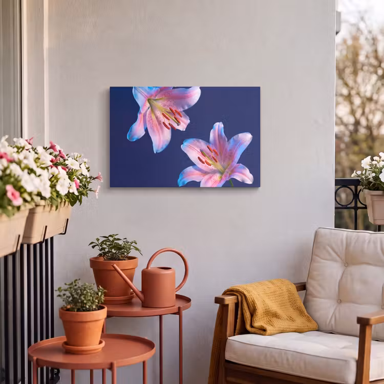 Buiten canvas - Bloemen - Kleurrijk - Botanisch — 3